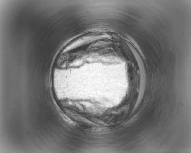 X0000069790795200606091741