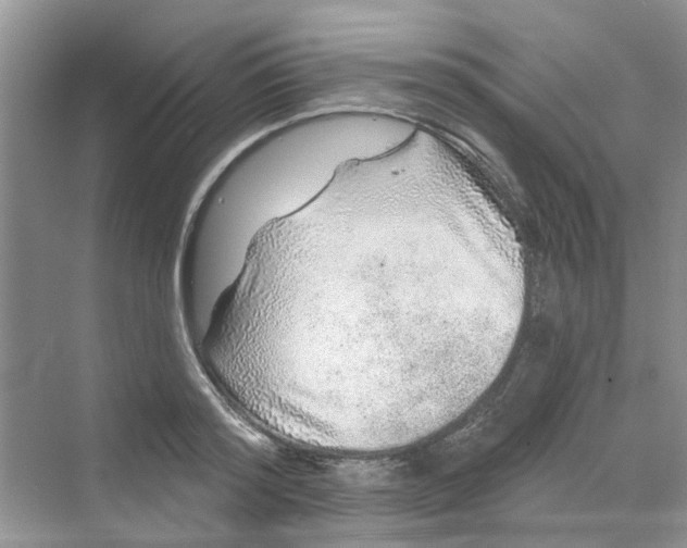 X0000069790796200606091741