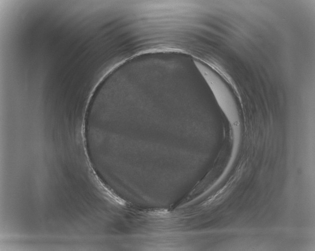 X0000069790797200606091741