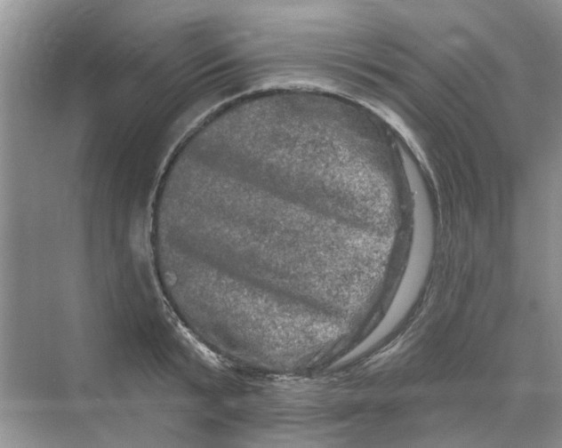 X0000069790799200606091741