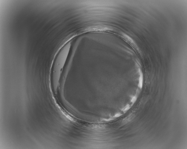 X0000069790802200606091741