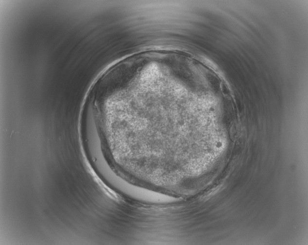 X0000069790803200606091741