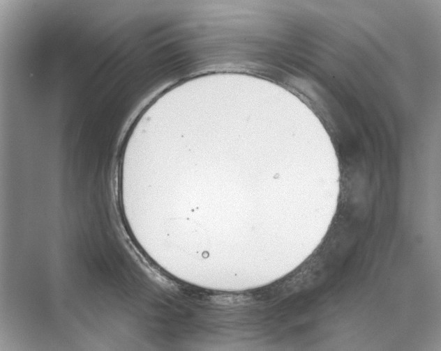 X0000069790804200606091741