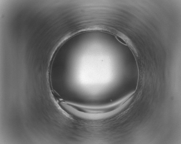 X0000069790805200606091741