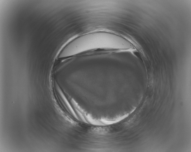 X0000069790806200606091741