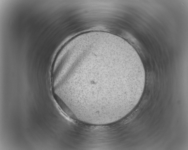 X0000069790808200606091741