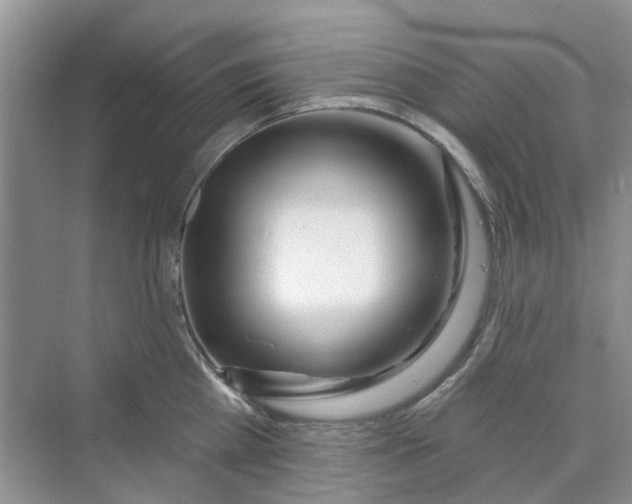 X0000069790809200606091741