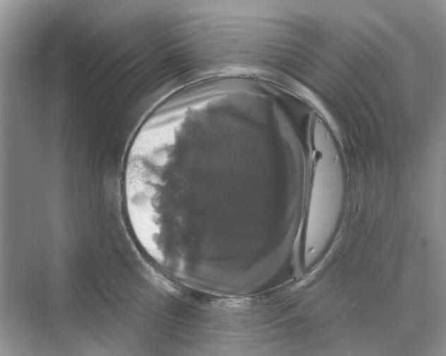 X0000069790810200606091741