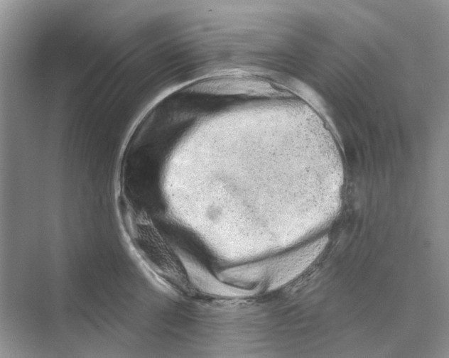 X0000069790811200606091741