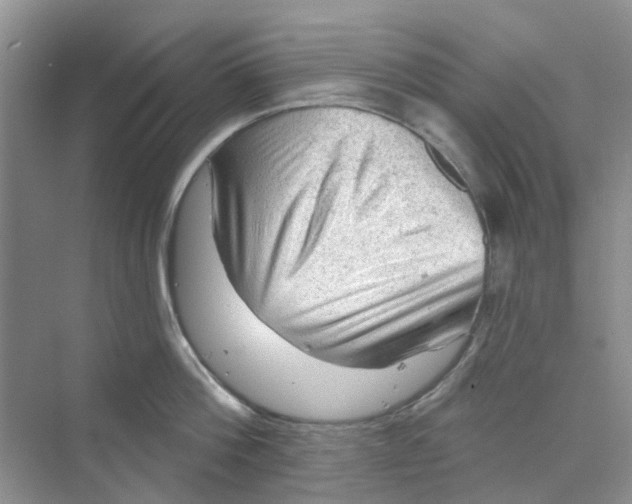 X0000069790812200606091741