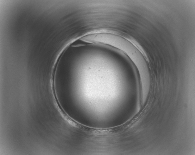 X0000069790813200606091741