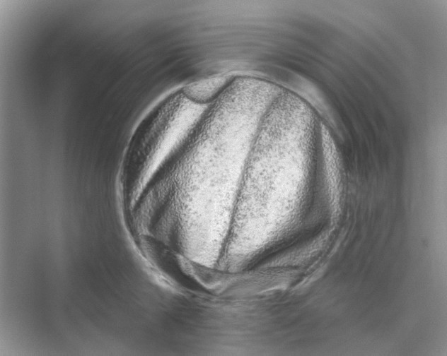 X0000069790814200606091741