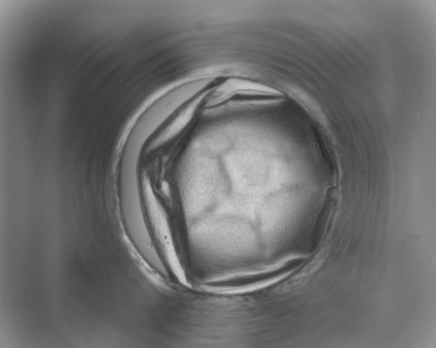 X0000069790816200606091741