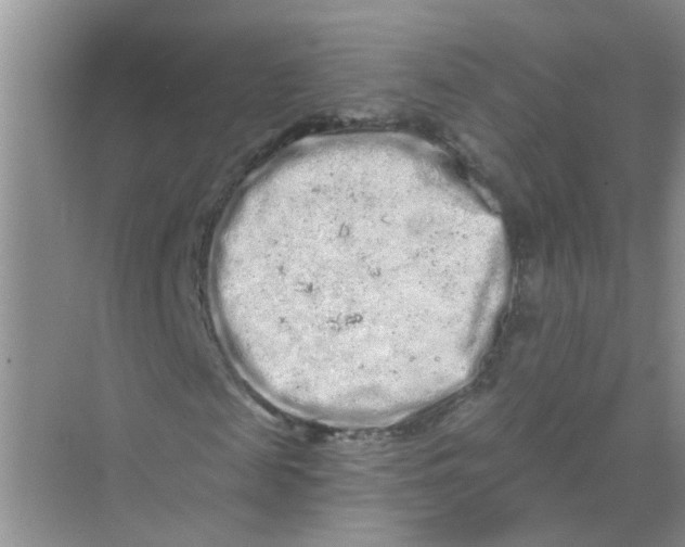 X0000069790817200606091740