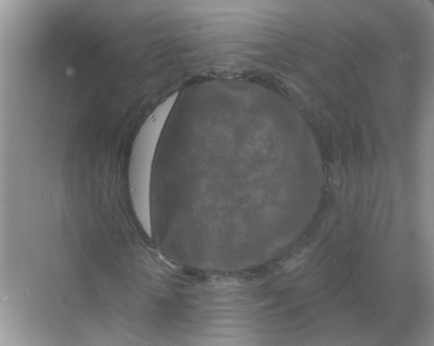 X0000069790818200606091740