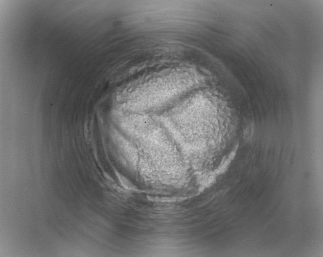 X0000069790819200606091740