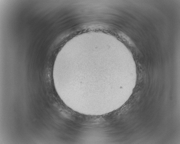 X0000069790824200606091740