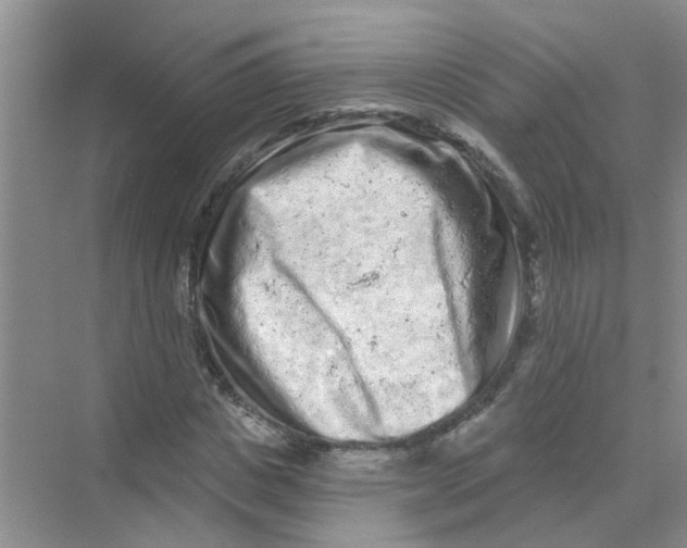 X0000069790825200606091740