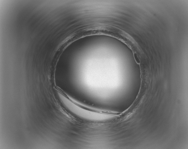 X0000069790826200606091740