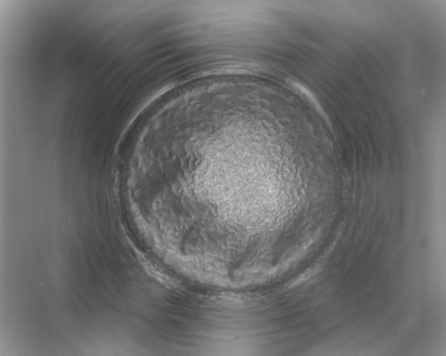 X0000069790827200606091740