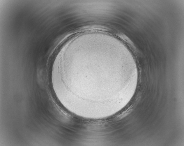 X0000069790828200606091741