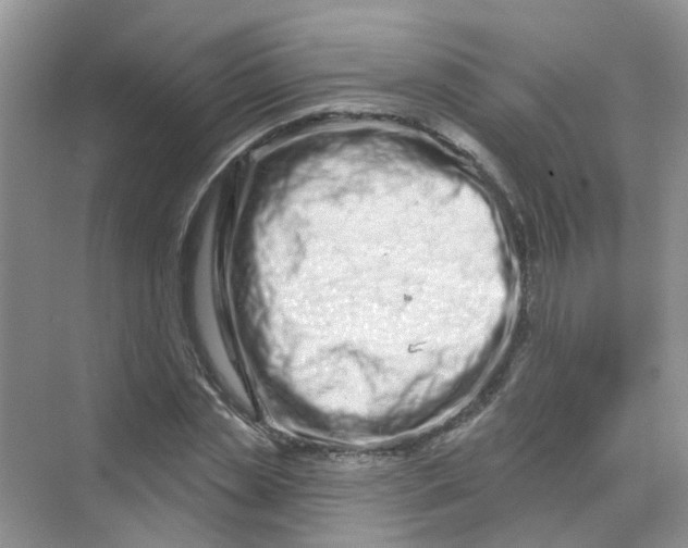 X0000069790829200606091741