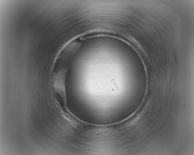 X0000069790830200606091741