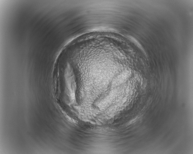 X0000069790831200606091741