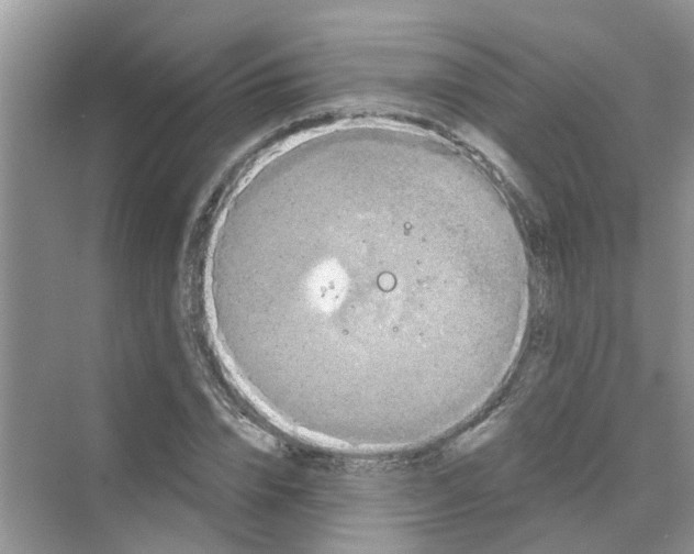 X0000069790832200606091741