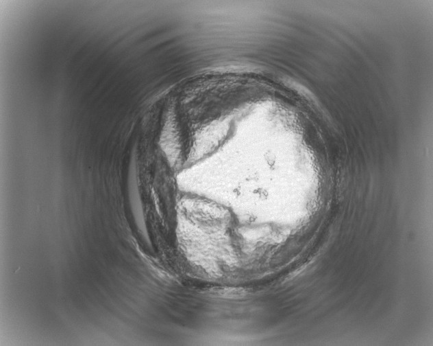 X0000069790833200606091741