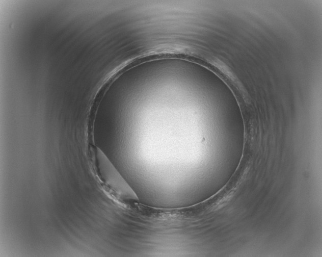 X0000069790834200606091741