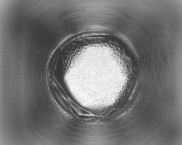 X0000069790835200606091741