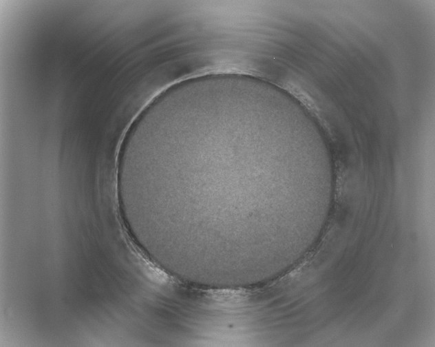 X0000069790836200606091741