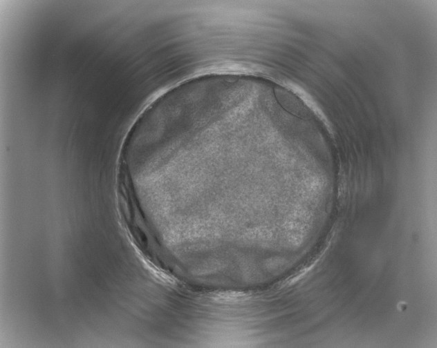 X0000069790837200606091741