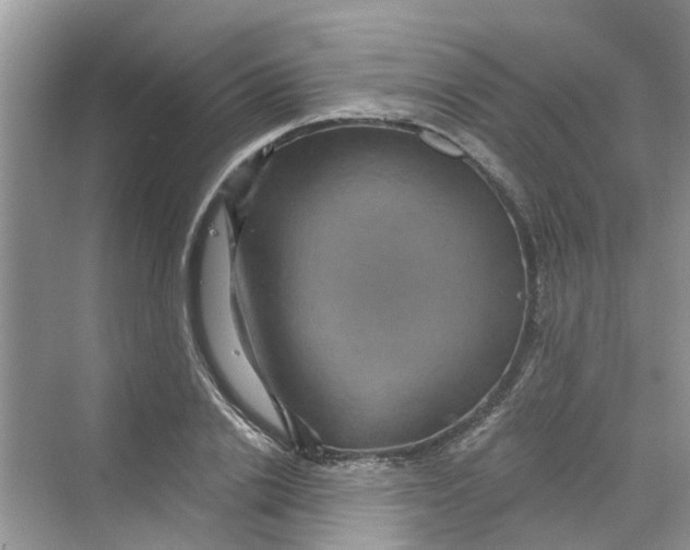 X0000069790838200606091741