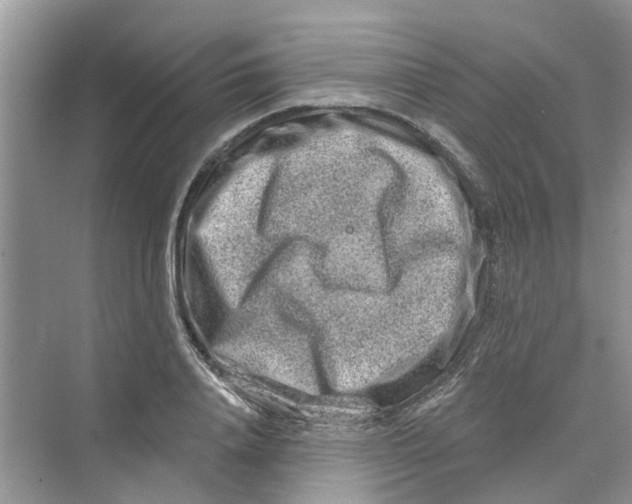 X0000069790840200606091741