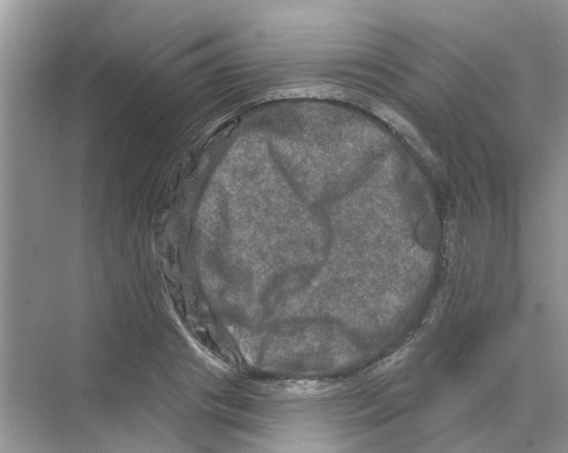 X0000069790841200606091741