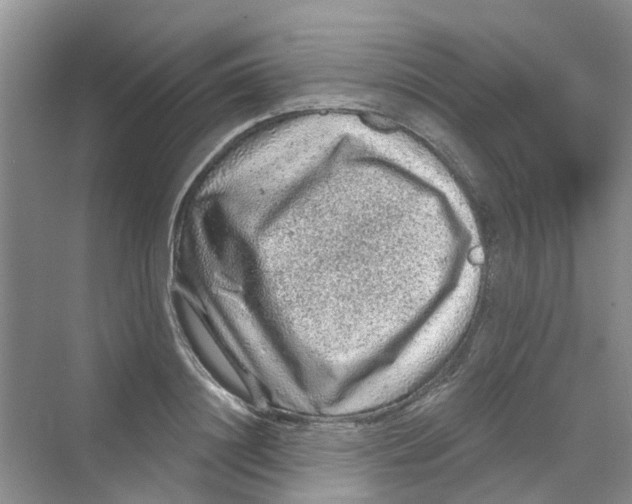 X0000069790844200606091741