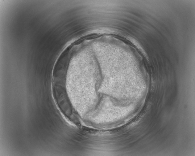 X0000069790845200606091741