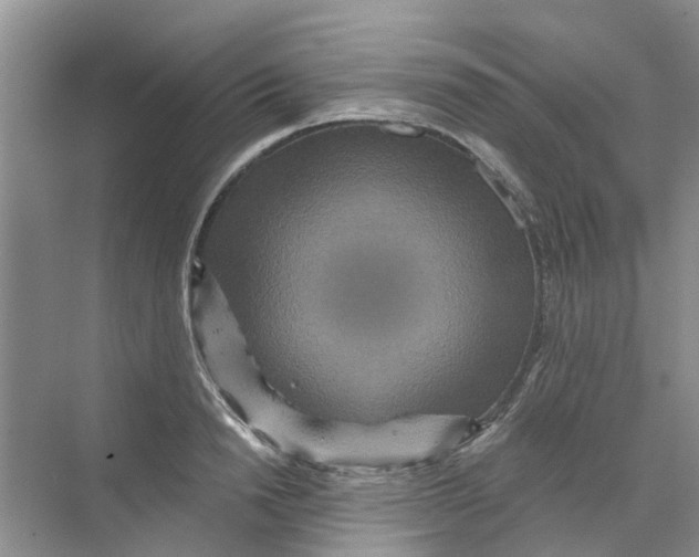 X0000069790846200606091741