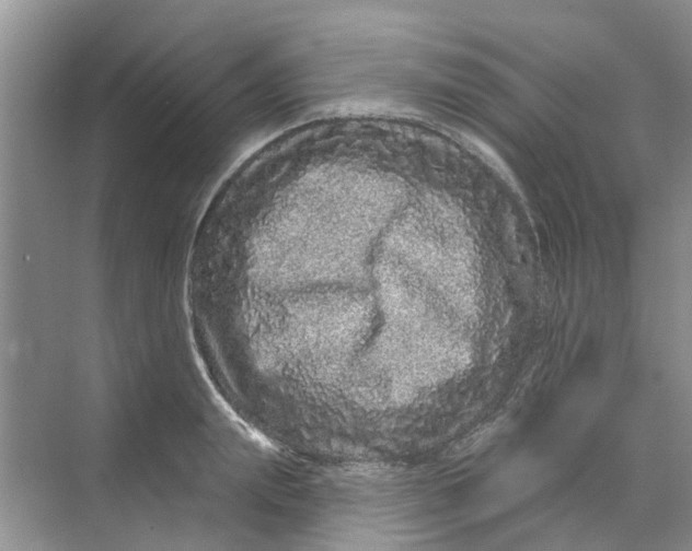 X0000069790847200606091741