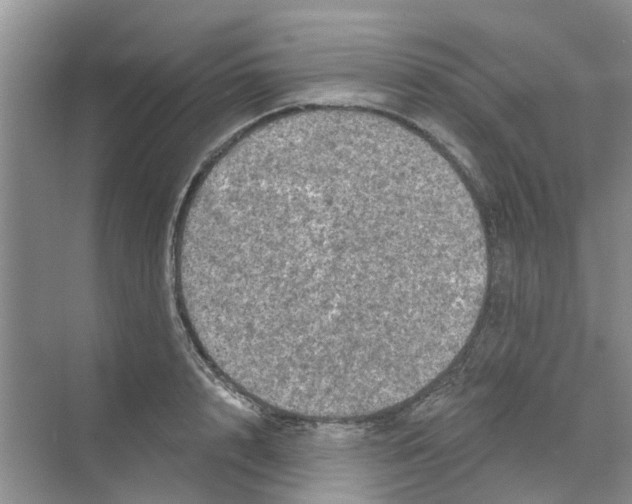 X0000069790848200606091741