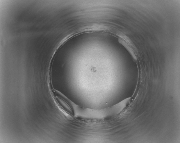 X0000069790850200606091741