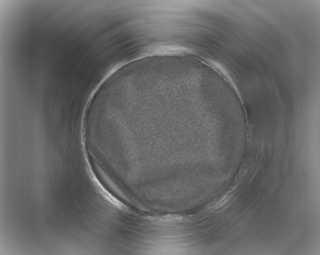 X0000069790851200606091741