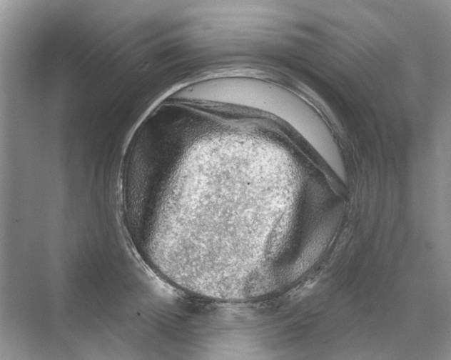 X0000069790852200606091741