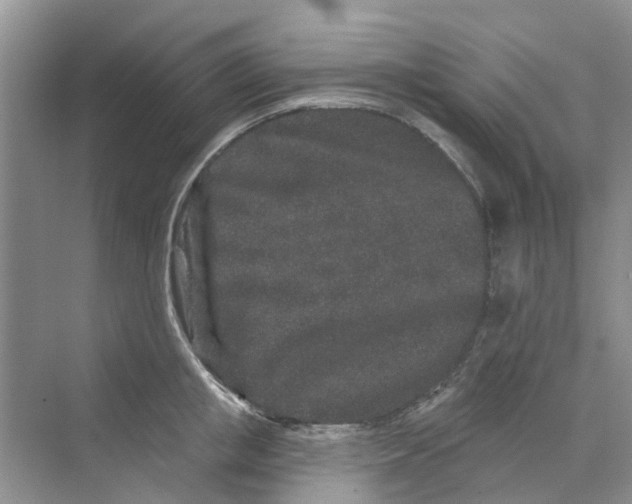 X0000069790853200606091741