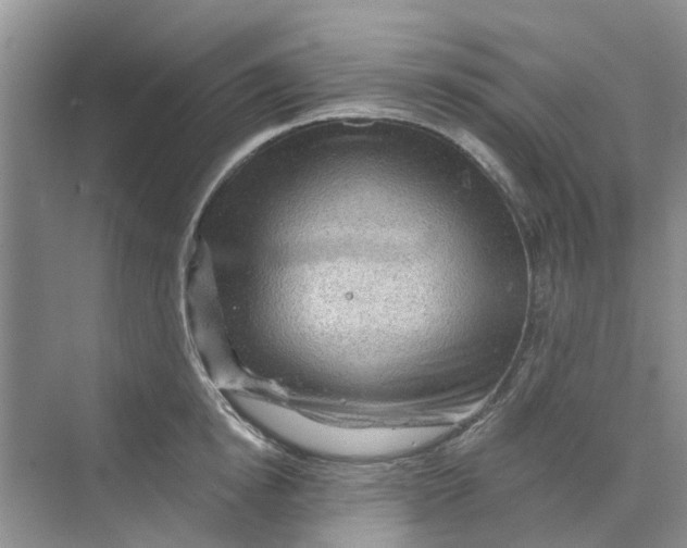 X0000069790854200606091741