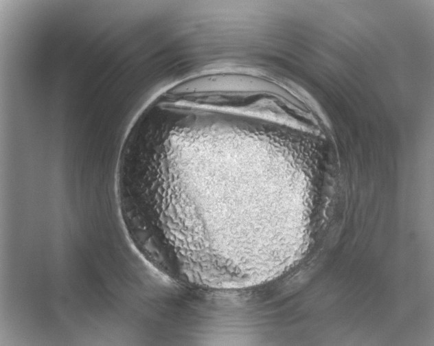 X0000069790855200606091741