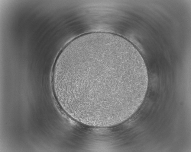 X0000069790856200606091741