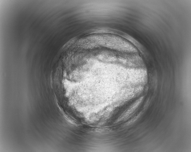 X0000069790857200606091741